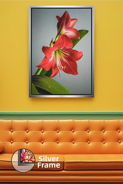 KOSS Dijital Клозъп на червено амарилисово цвете Модерна декорация за дома Хо...