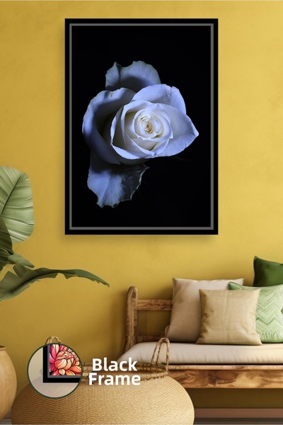 KOSS Dijital Λευκό τριαντάφυλλο σε μαύρο φόντο Μοντέρνα διακόσμηση σπιτιού Κο...