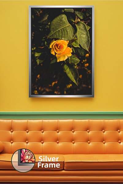 KOSS Dijital Trandafir galben sub lumina naturala in gradina, decor calduros ...