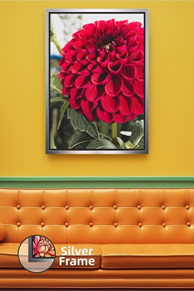 KOSS Dijital Floare de dahlia roșie, detaliată, în culori vii, fotografie nat...