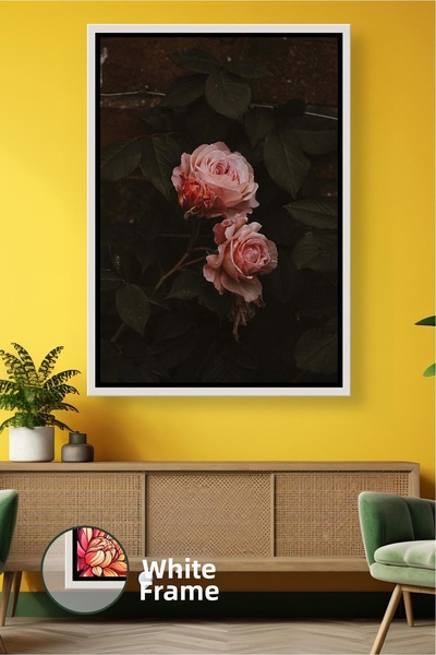 KOSS Dijital Floare de trandafir roz pudrat pe fundal închis, decor de perete...