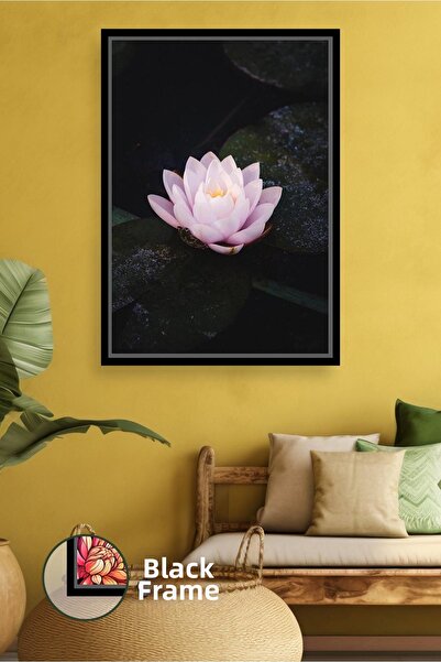 KOSS Dijital Pink Water Lily Lotus Flower Minimal Design Framed Canvas Painti...