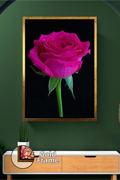 KOSS Dijital Pictură cu flori de trandafir fucsia, pictură pe pânză înrămată ...