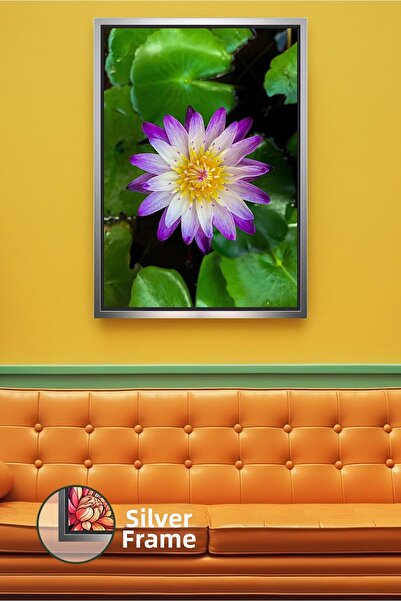 KOSS Dijital Pictură pe pânză înrămată, care oferă pace cu floarea de lotus v...