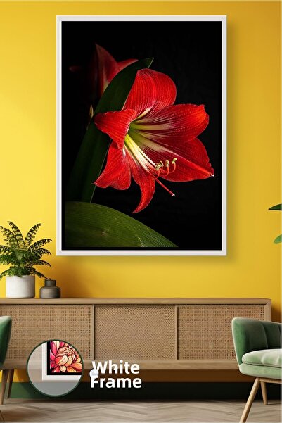 KOSS Dijital Картина с рамка с дизайн на червено амарилис цвете за декорация ...