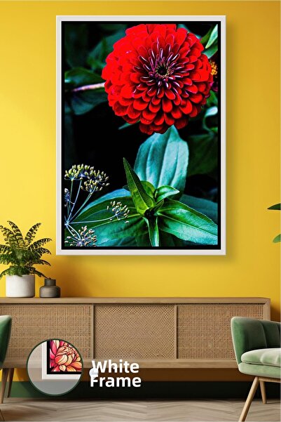 KOSS Dijital Floare roșie de zinia, colorată, cu tematică de grădină, decor d...