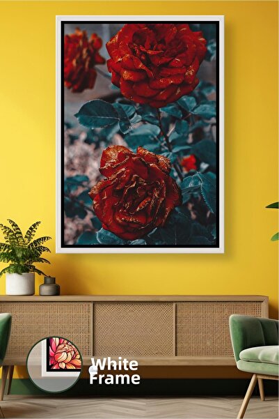 KOSS Dijital Floare de trandafir burgundă, plan apropiat, decorare romantică ...