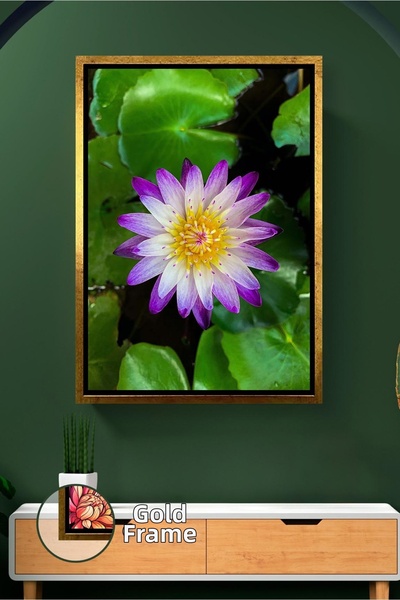 KOSS Dijital Pictură pe pânză înrămată, care oferă pace cu floarea de lotus v...