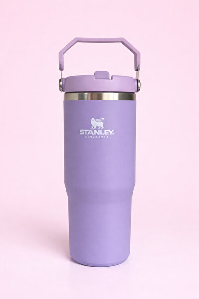 TERMOS Pipetli Kulplu Bardak Paslanmaz Çelik -Lila .89L