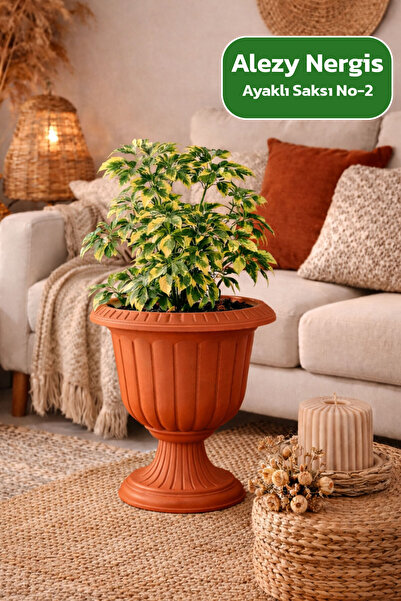 Alezy N002 Nergis Dış Mekan Saksı 25.3 Litre Ø47cm Dış ve İç Mekan Saksısı Ki...