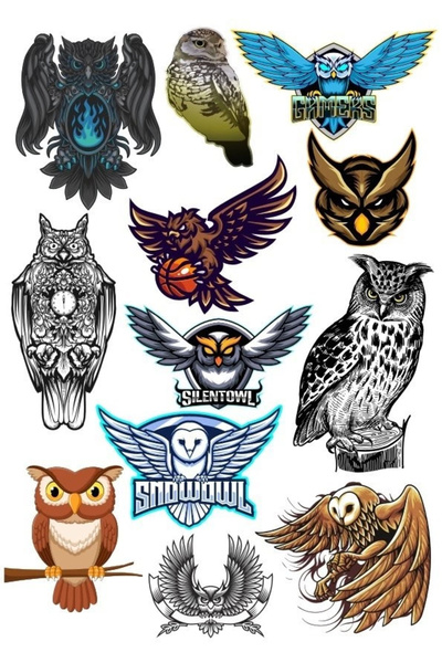 Reysa Tasarım مجموعة ملصقات البومة - 2 مكونة من 13 قطعة للهاتف والكمبيوتر الل...