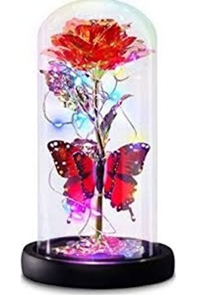 OEM Portable LED lamp with illuminated rose inside RD C172