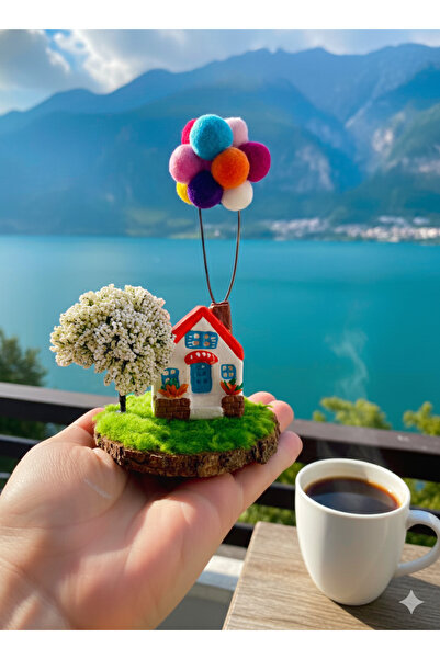Home Dekoratif Balonlu Ev