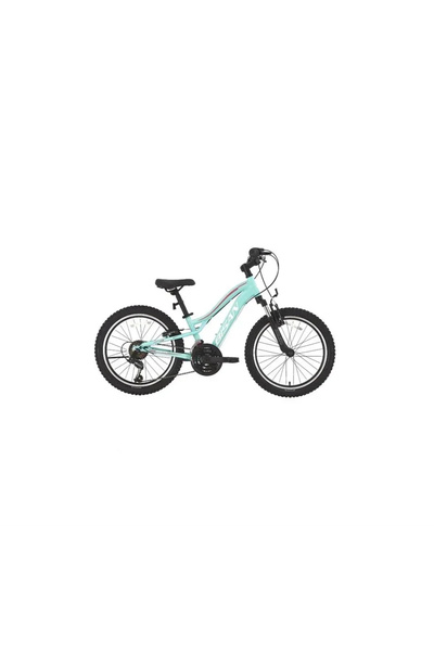 Bisan BİSAN GAZELLA KADIN DAĞ BİSİKLETİ 30CM V 24 JANT 18 VİTES TURKUAZ KOYU ...