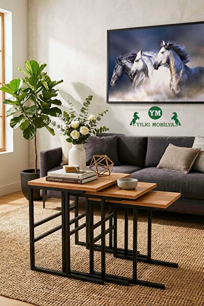 Yılkı Mobilya Zigon Sehpa 3'lü Atlantik Çam Siyah Metal Ayaklı