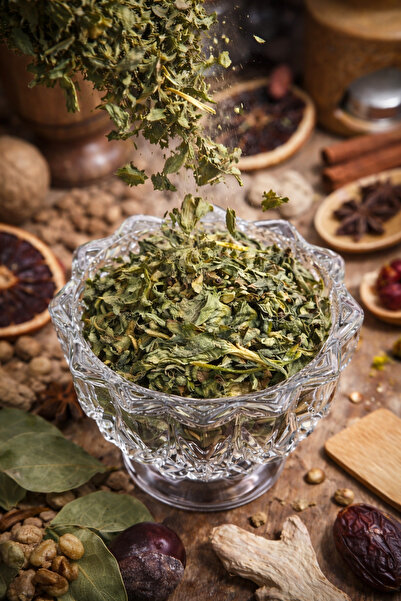 Diyet AVM Yilan Yuvası Otu ( Nube - Kari ) Tırşık otu 50 gr