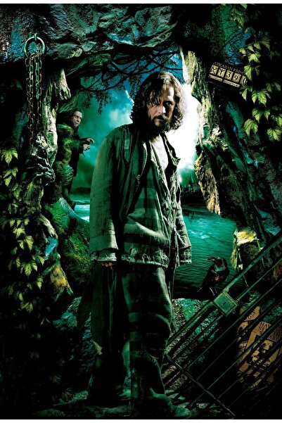 OEM Poster Harry Potter Sirius Negru, 61x90cm, Zumzeria