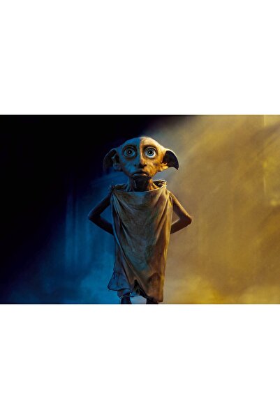 OEM Poster Dobby Spiridușul de Casă, 61x90cm, Zumzeria