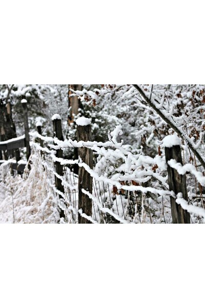 Zumzeria Tablou Canvas Împrejurimi înghețate ale unui peisaj de iarnă, 80x50c...