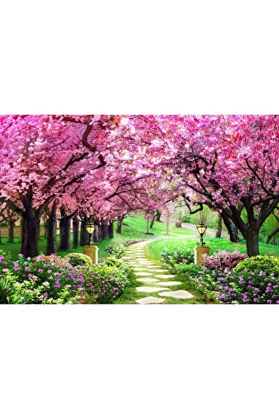 Zumzeria Tablou Canvas Gorgeaous Blossom Cherry Trees In Japan, 80x50cm, tabl...