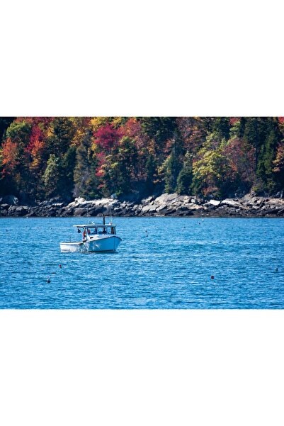 Zumzeria Tablou pânză cu barcă pe lac cu fundal de toamnă, 80x50cm, tabloucan...