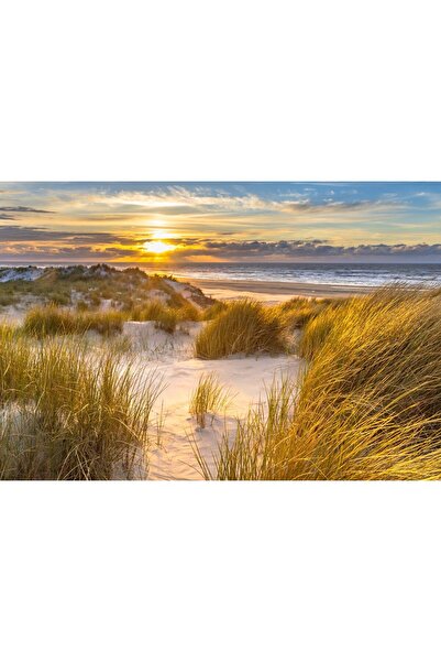 Zumzeria Pictură pe pânză Apus de soare minunat peste dună, 80x50cm, Pictură ...