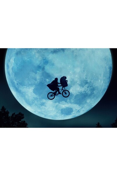 OEM Posterul Extraterestrul, 61x90cm, poster1282, Zumzeria