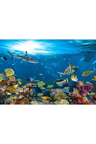 Zumzeria Pictură pe pânză Ocean Lume subacvatică colorată, 80x50cm, canvaspai...