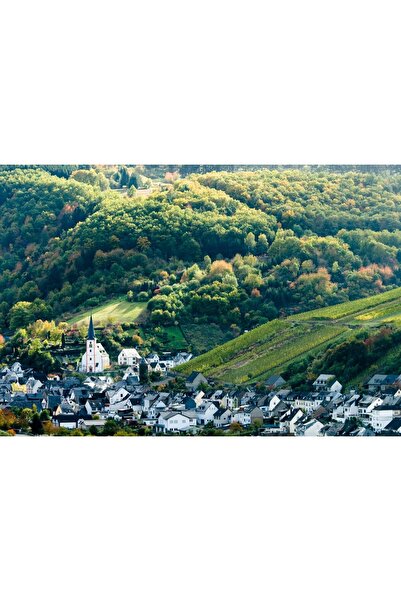 Zumzeria Tablou pânză Zăpadă pe munți și pajiști înflorite, 80x50cm, tablouca...