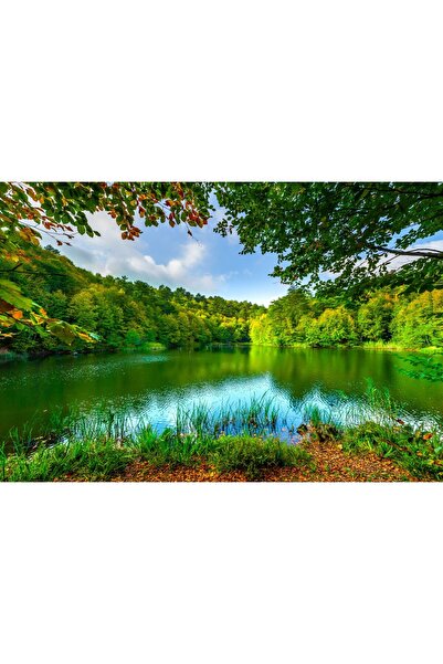 Zumzeria Tablou Canvas Lac Verde Magnific În Pădurea Adâncă Luminoasă, 80x50c...