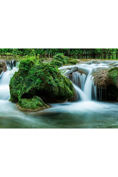 Zumzeria Tablou Canvas Cascadă spumoasă albă peste stânci acoperite de mușchi...