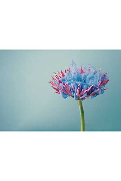 Zumzeria Pictură pe pânză Floare în culori pastelate, 80x50cm, pictură pe pân...