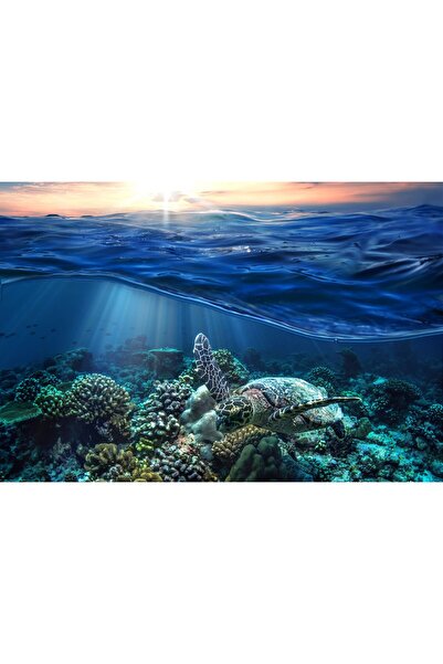 Zumzeria Картина върху платно Подводен свят, 80x50см, canvaspainting819,