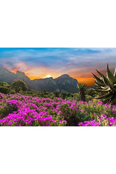 Zumzeria Tablou Canvas Grădină Botanică Frumoasă Sub Apus De Soare, 80x50cm, ...