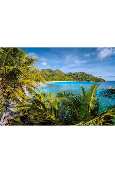 Zumzeria Tablou Canvas Plajă tropicală cu vegetație de vară, 80x50cm, tablouc...