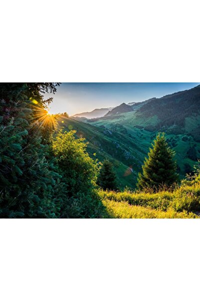 Zumzeria Tablou Canvas O frumoasă dimineață de vară la munte, 80x50cm, tablou...