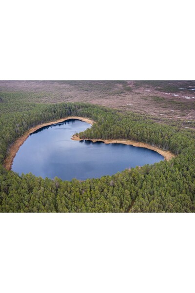 Zumzeria Tablou Canvas Heart-Shaped Forest Lake, 80x50cm, tabloucanvas438,