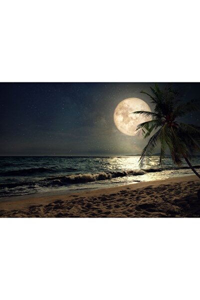 Zumzeria Tablou Canvas Lumină de lună peste palmieri și mare, 80x50cm, tablou...