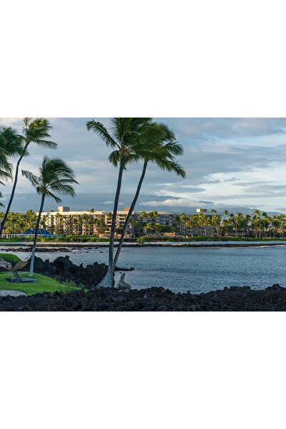 Zumzeria Pictură pe pânză Palmieri, Mare și Natură Relaxantă, 80x50cm, canvas...