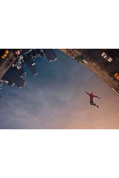 OEM Poster Spiderman Fără drum spre casă Leagăn, 61x90cm, poster2379, Zumzeria