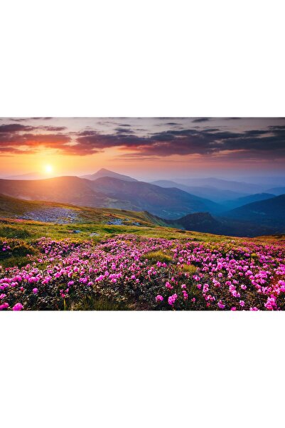 Zumzeria Pictură pe pânză Apus de soare peste pajiști, 80x50cm, tableaucanvas...
