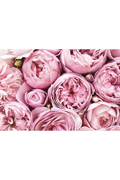 Zumzeria Tablou pânză Frumusețea florilor, 80x50cm, tabloucanvas959,