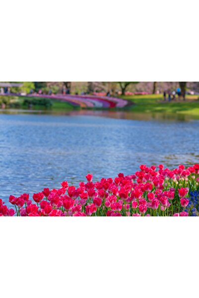 Zumzeria Tablou Canvas Grădină de vară plină de flori strălucitoare, 80x50cm,...