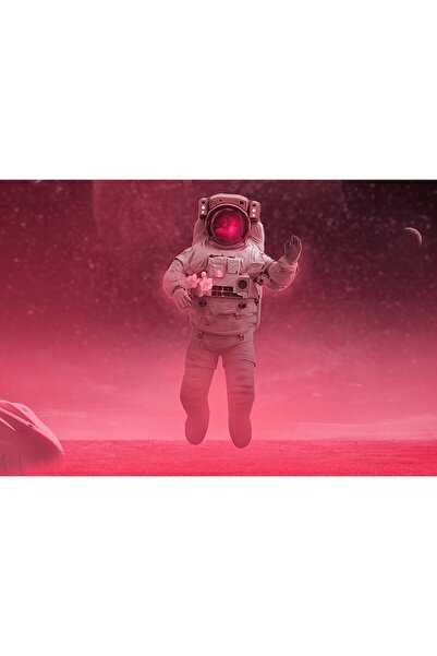 OEM Poster Love In Outer Space, 61x90cm, poster2281, Zumzeria