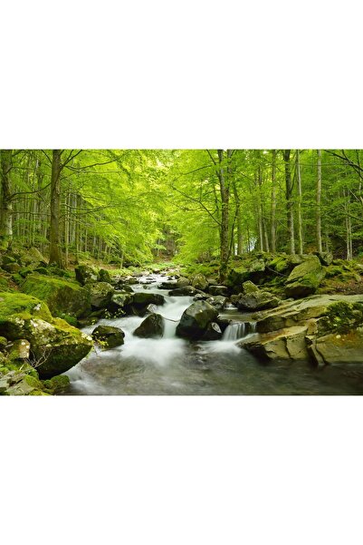 Zumzeria Pictură pe pânză Apă curgătoare într-o pădure luminoasă, 80x50cm, ta...
