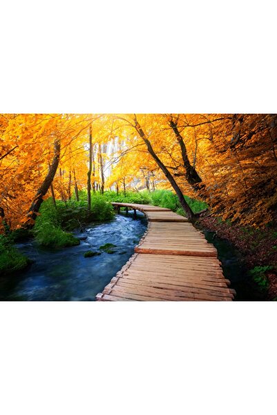 Zumzeria Tablou Canvas Stream, Wooden Pond And Autumn Colors, 80x50cm, tablou...