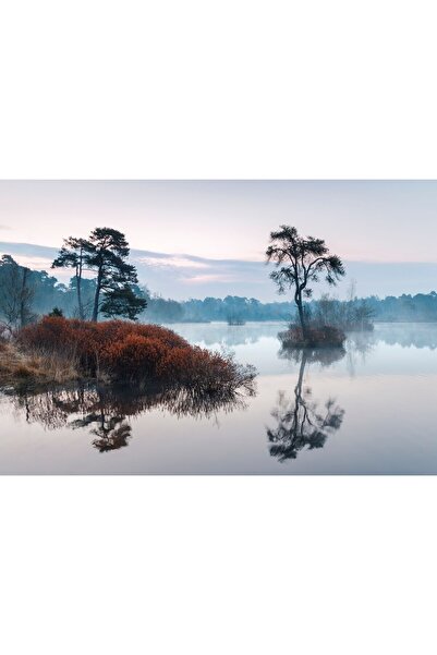 Zumzeria Картина върху платно Мъглив изгрев над мочурището, 80x50см, canvaspa...