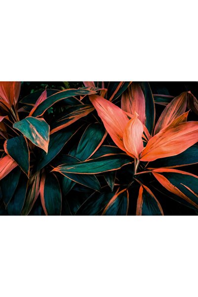 Zumzeria Tablou Canvas Culorile Plantă cu Noroc, 80x50cm, tabloucanvas343,