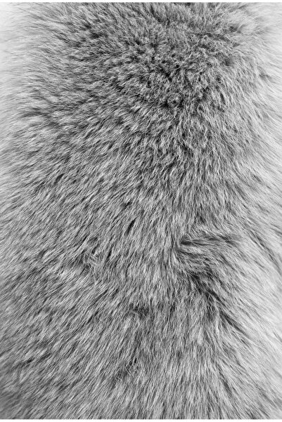 MODELİSA İtal lolita kürk kumaş uzun tüylü yumuşak peluş