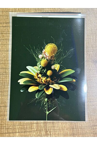 Gönülden Tasarım 19x13 cm peglač za prenos cvetnog printa Arma